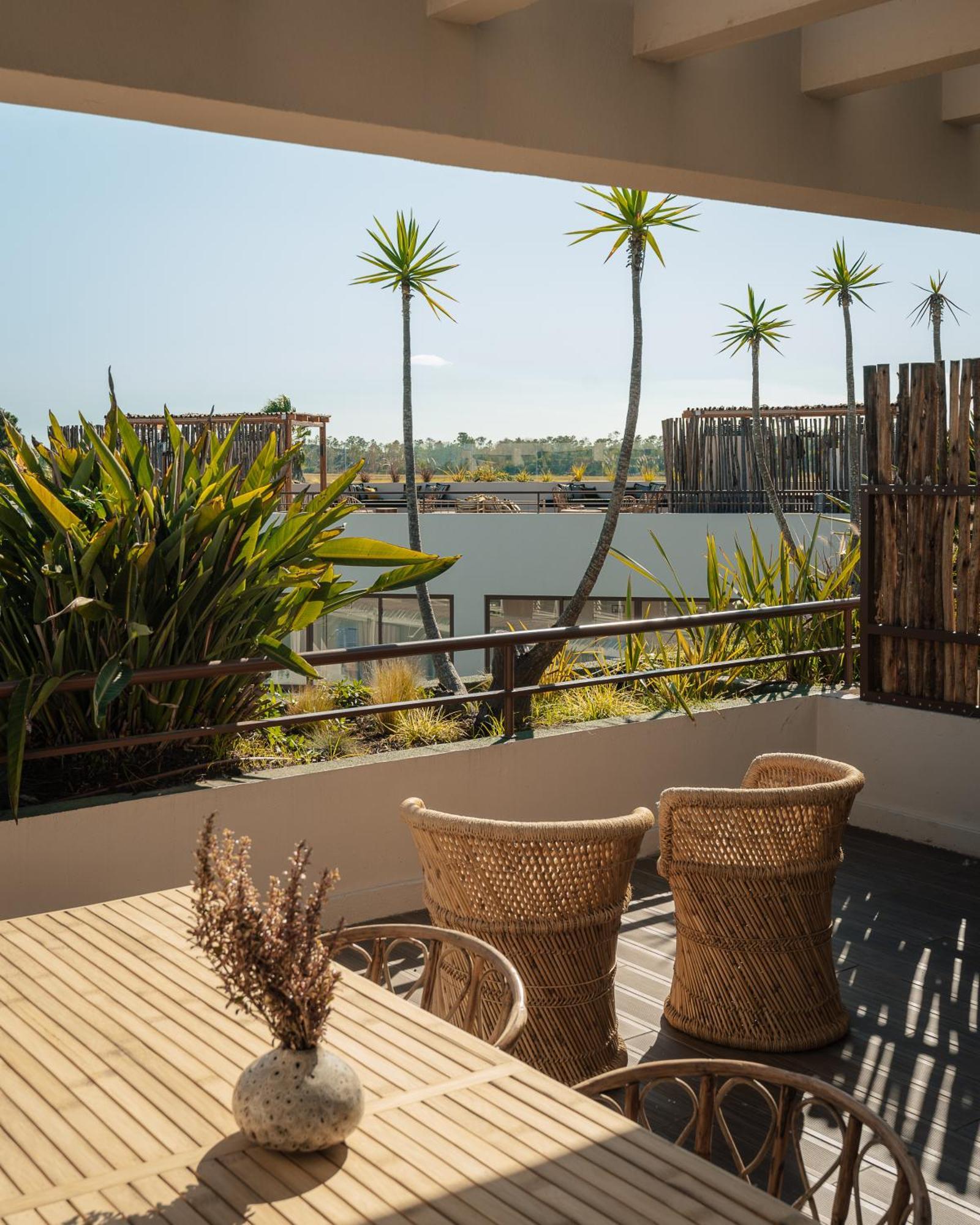 Suite Terrace
